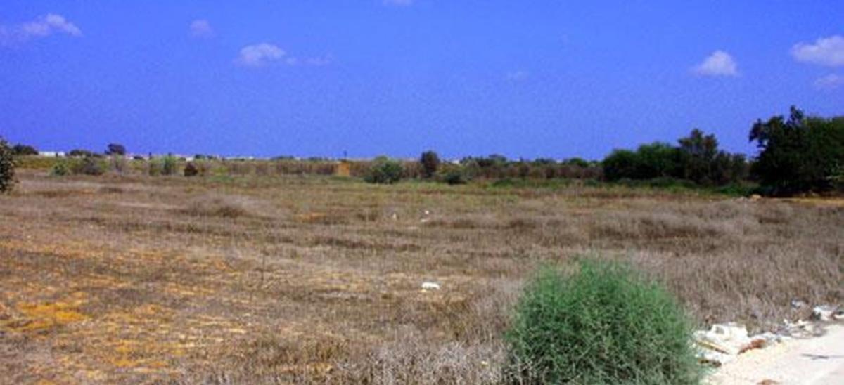 4362881675953244 image