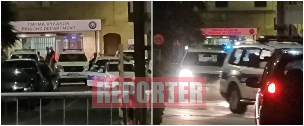 4362851427903143 image