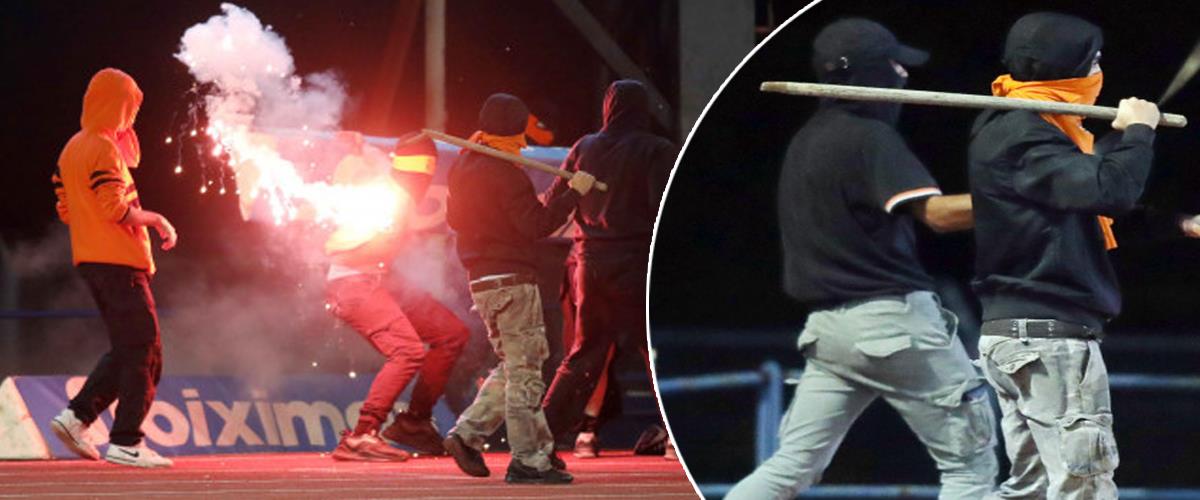 4364032831912873 image