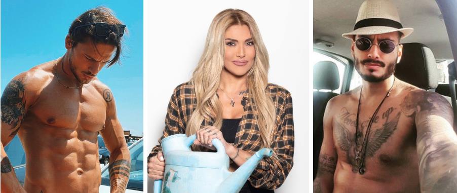 4364392392854561 image