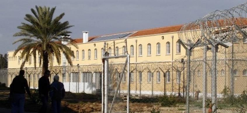 4364468223527242 image