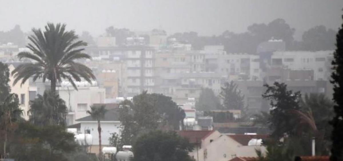 4365188287702226 skoni 0