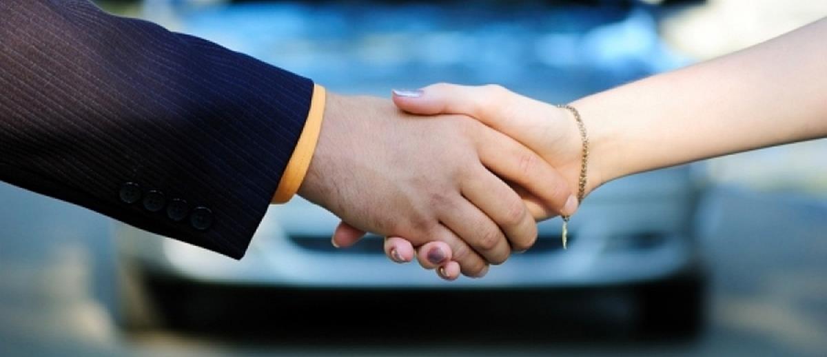 4365225817950122 metabibasi1