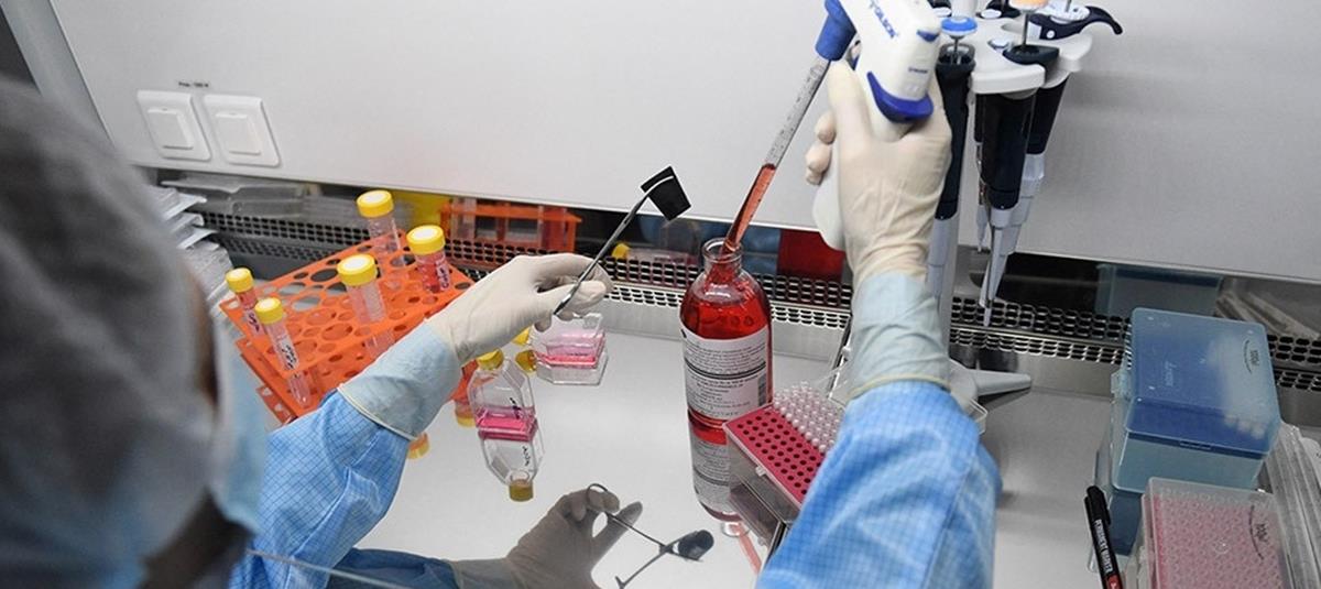 4366257073035876 ergastirio paral