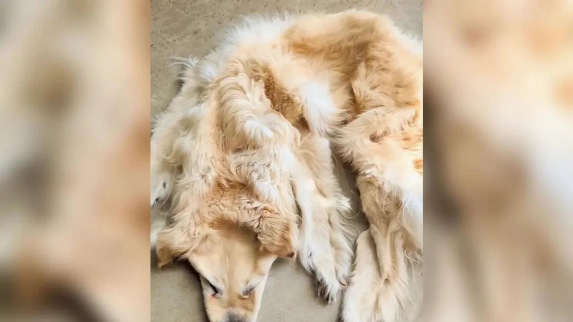 4366331292281988 image