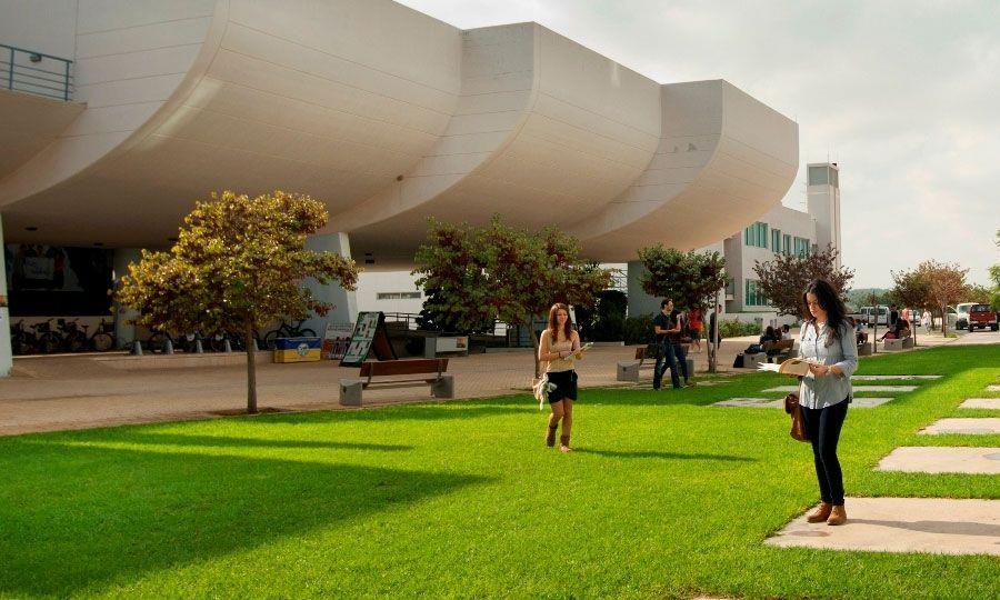 4366386158034384 image