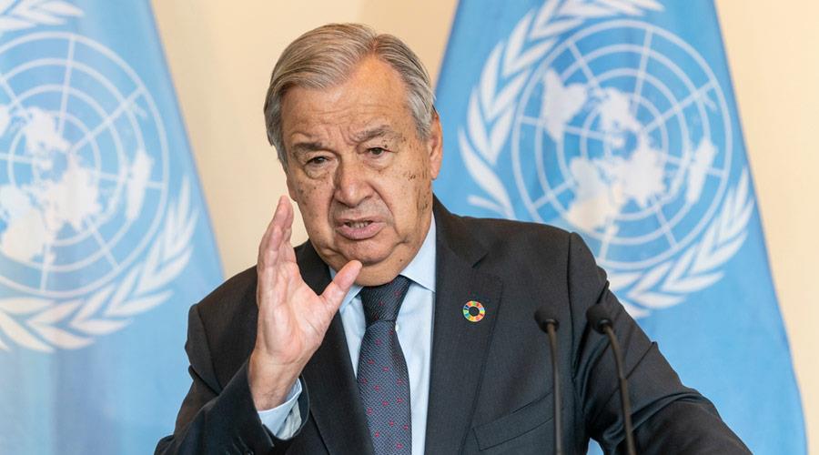 4373318415366241 image