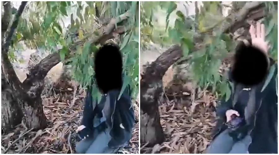 4373328223088581 page