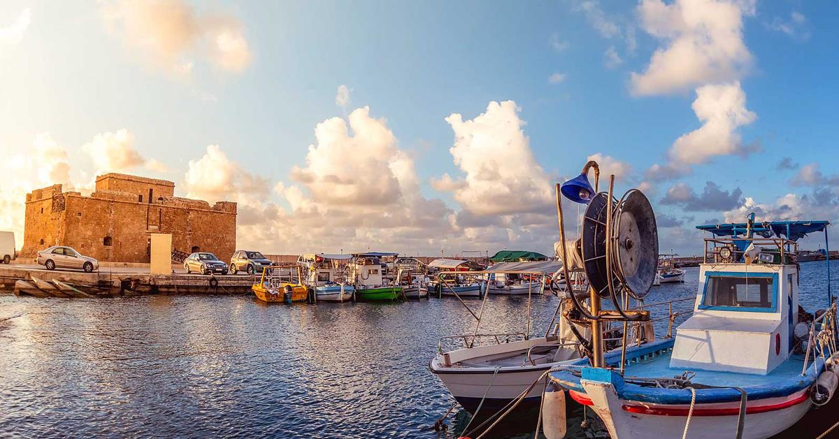 4373422681932011 image