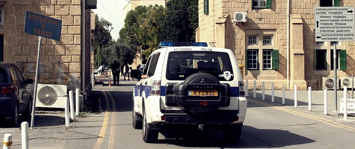 4374248755716359 cats