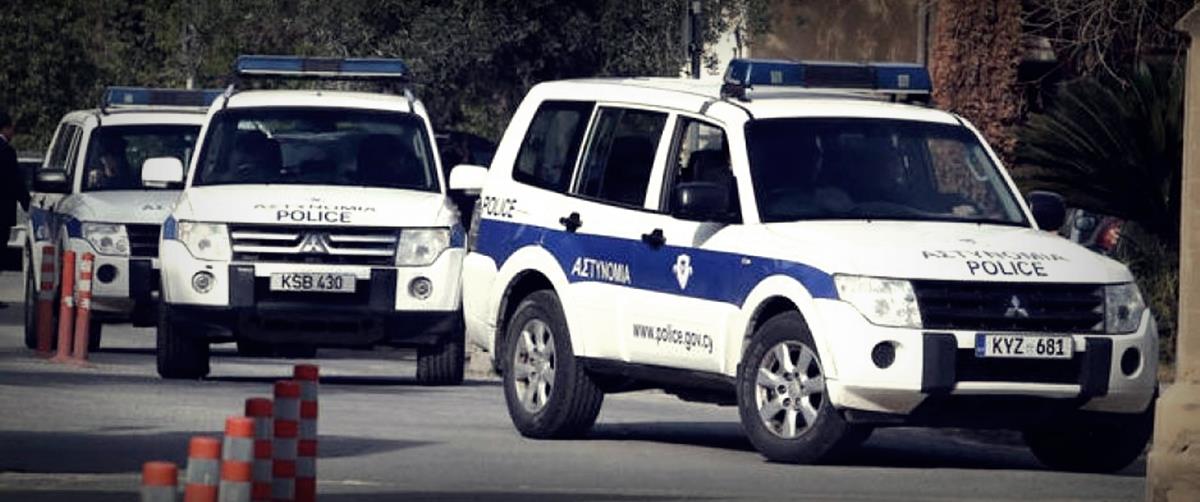 4374785166696792 cats