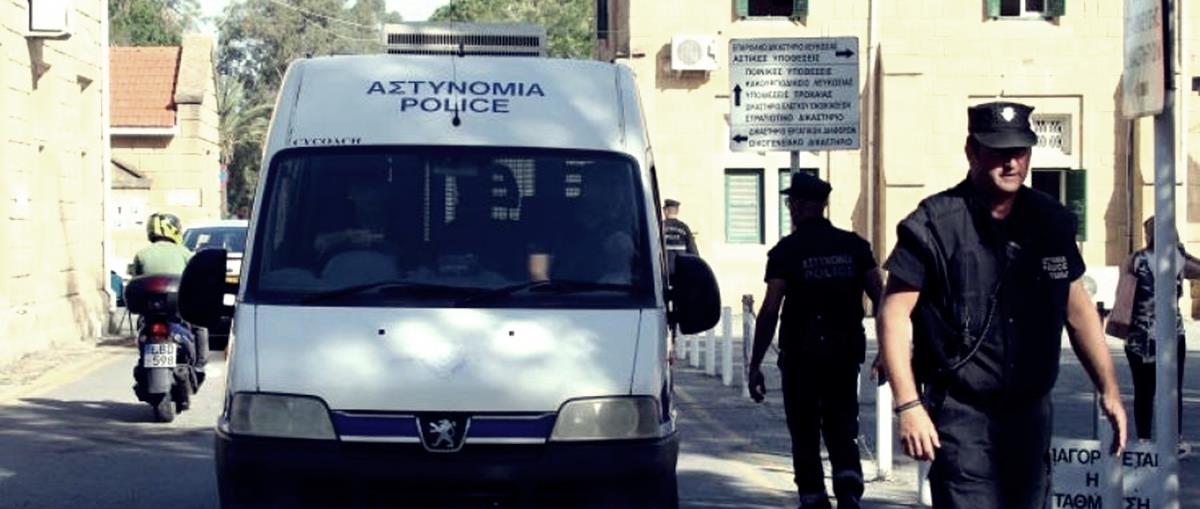 4376718877710364 cats