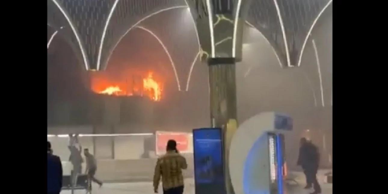 4377662214217690 image