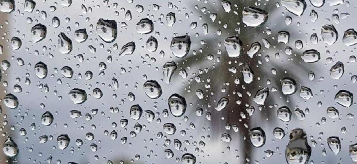 4379871850959694 500