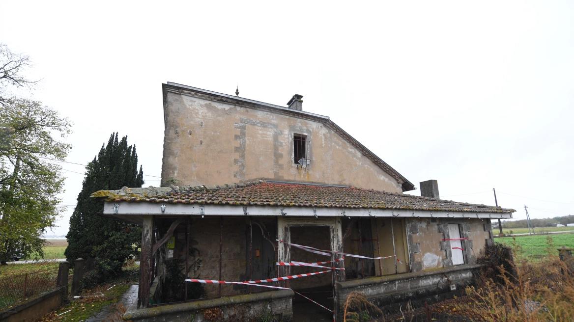 4383346798375273 image