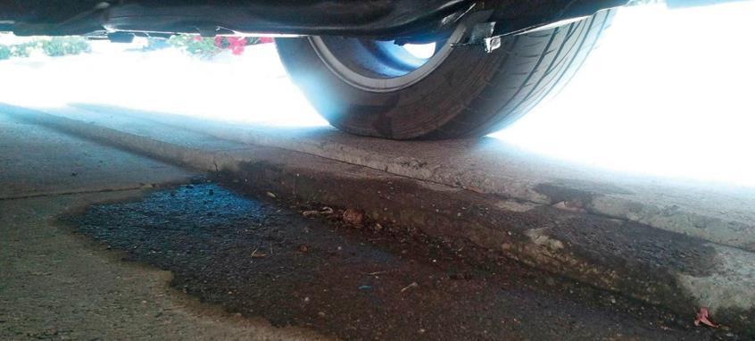 4383589584744638 image