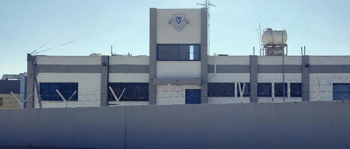 4384501368909473 cats