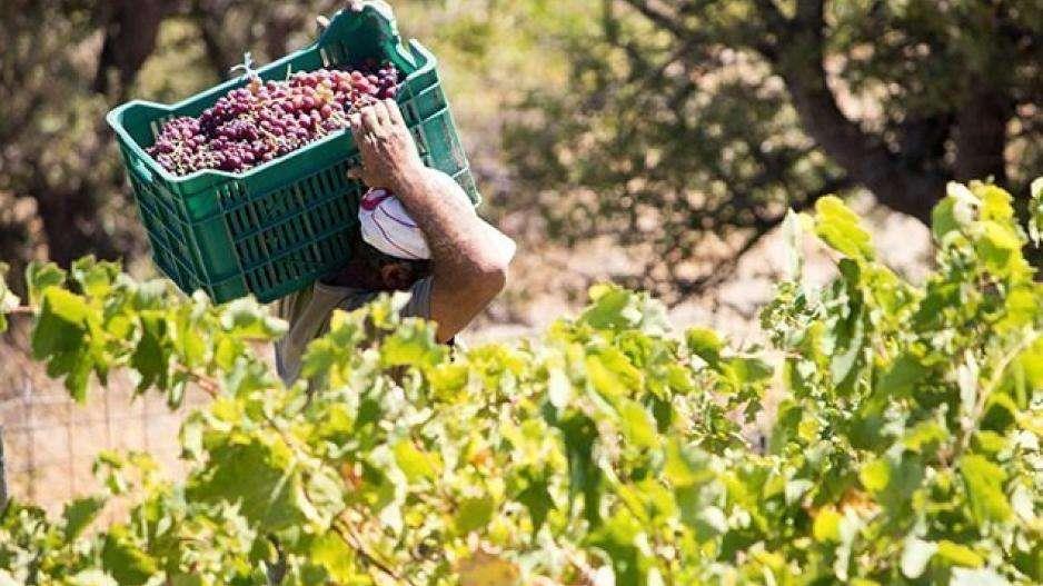 4386237708875492 image