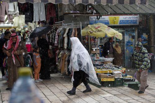 4386996766631393 image