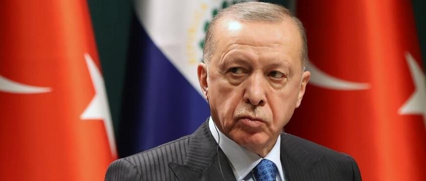 4387223352987582 image