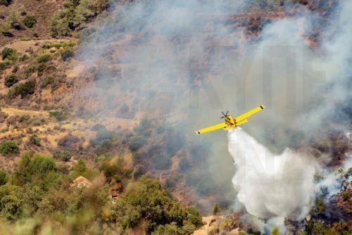 4388680903901519 image