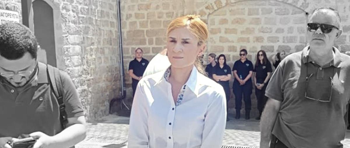 4388766527089764 cats