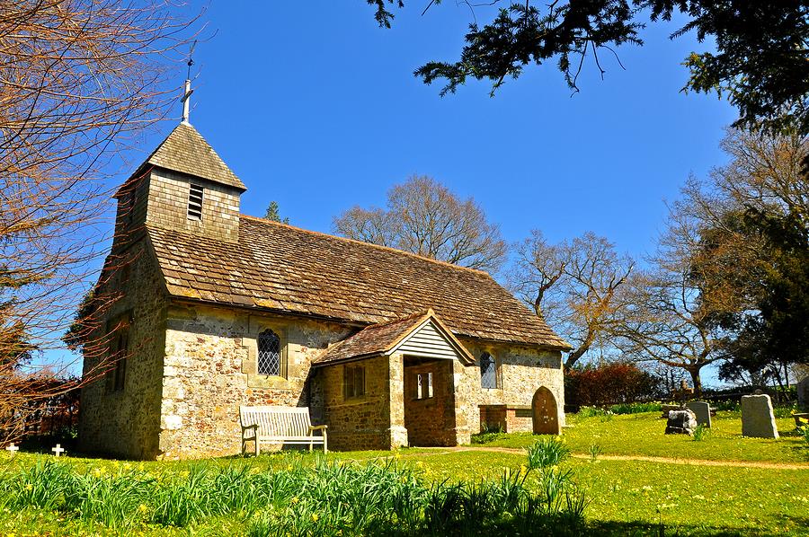 4389779234177852 image