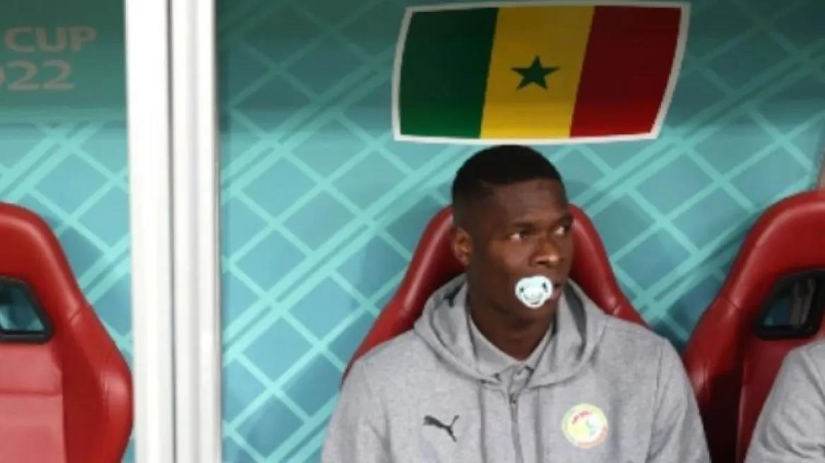 4389889043354157 image