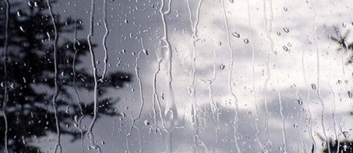 4391105461859686 broxi aspromauro madata 248452516