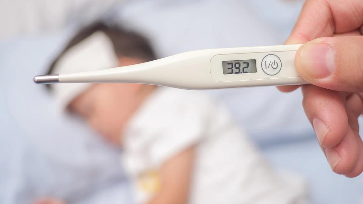 4392491344386036 image