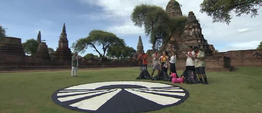 4398248329423433 image