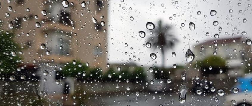 4398891191768954 image