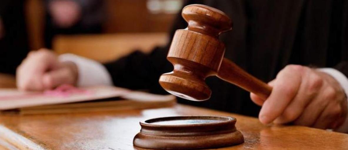 4402666379423934 cats