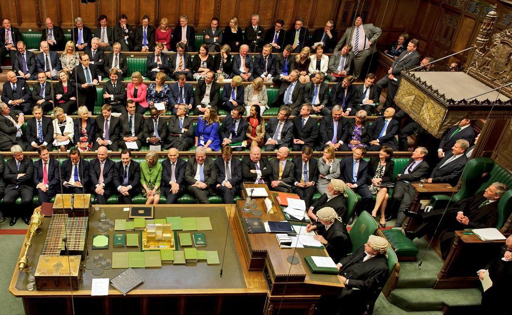 4402682884838614 image