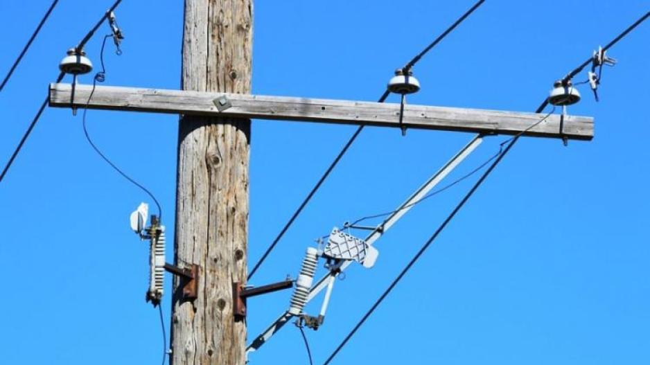 4402740061022621 image