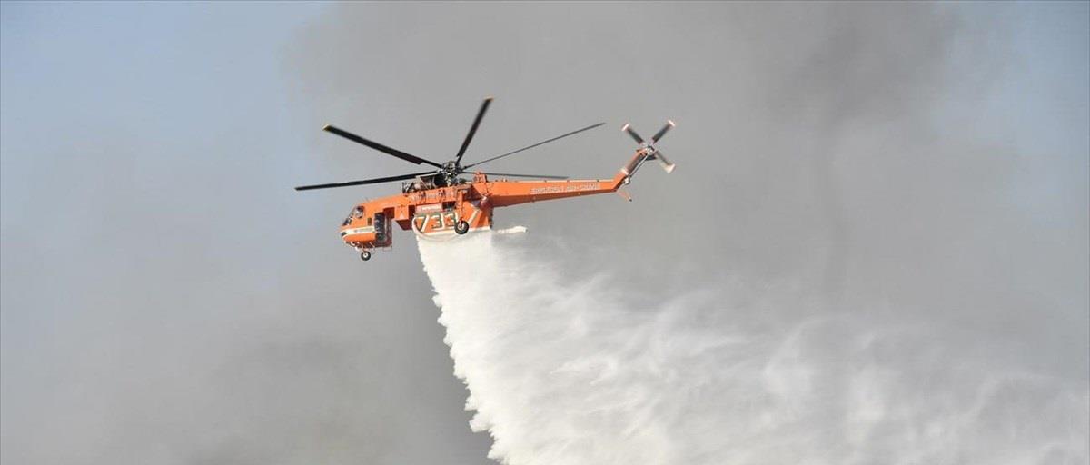 4402757673019438 ελικο