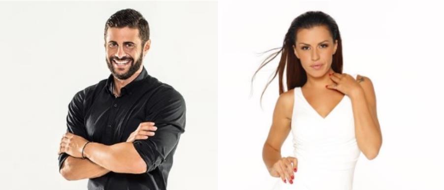 4403361420269619 image