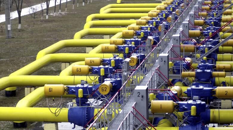 4407124107119594 image