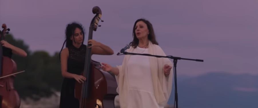 4409303857396753 Untitled