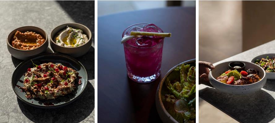 4409454852255642 image