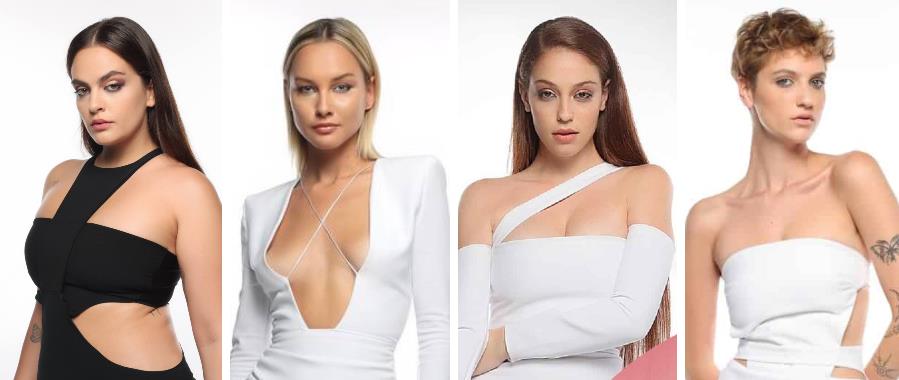 4410215466478907 image