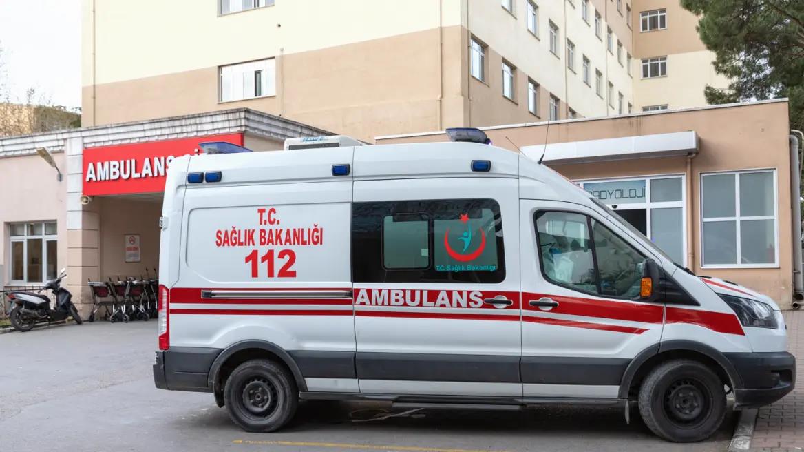 4411845951683175 image