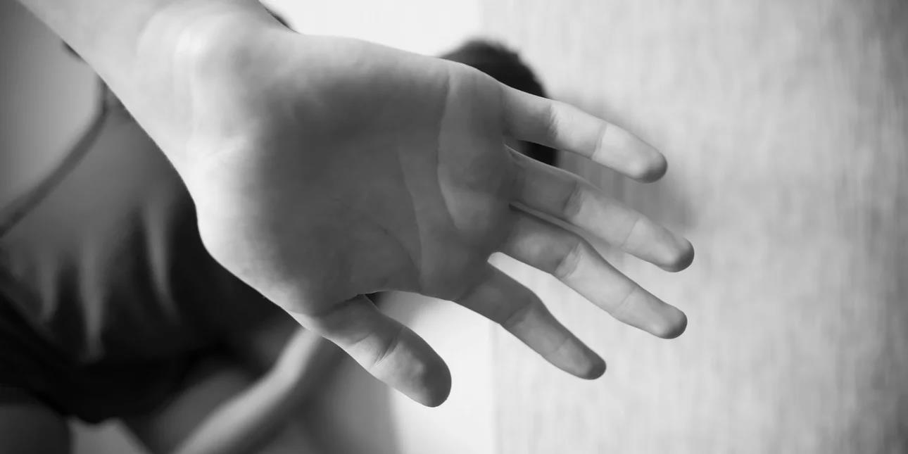 4411848720695521 image