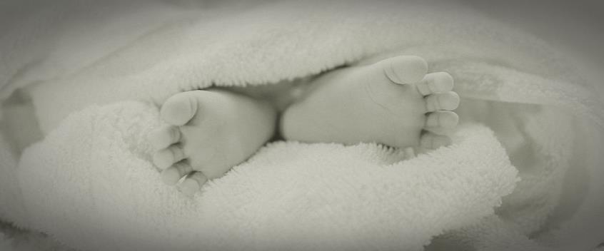 4412035741289921 image