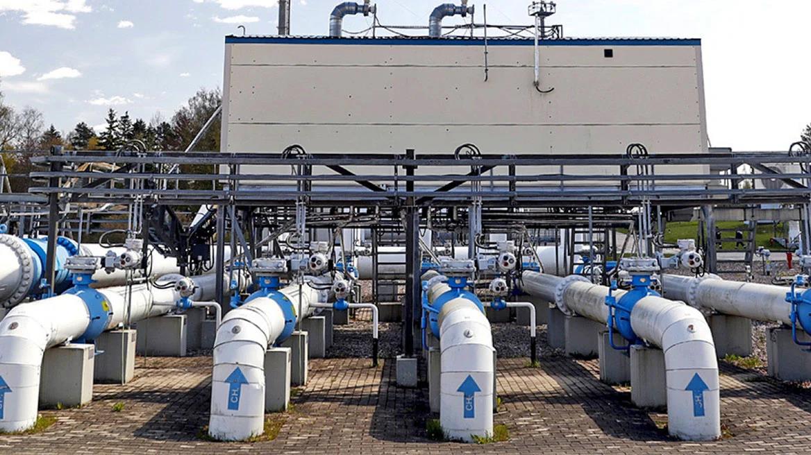 4412764136645262 image