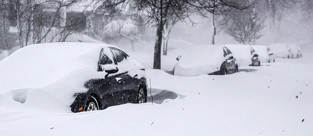 4412785055891484 521