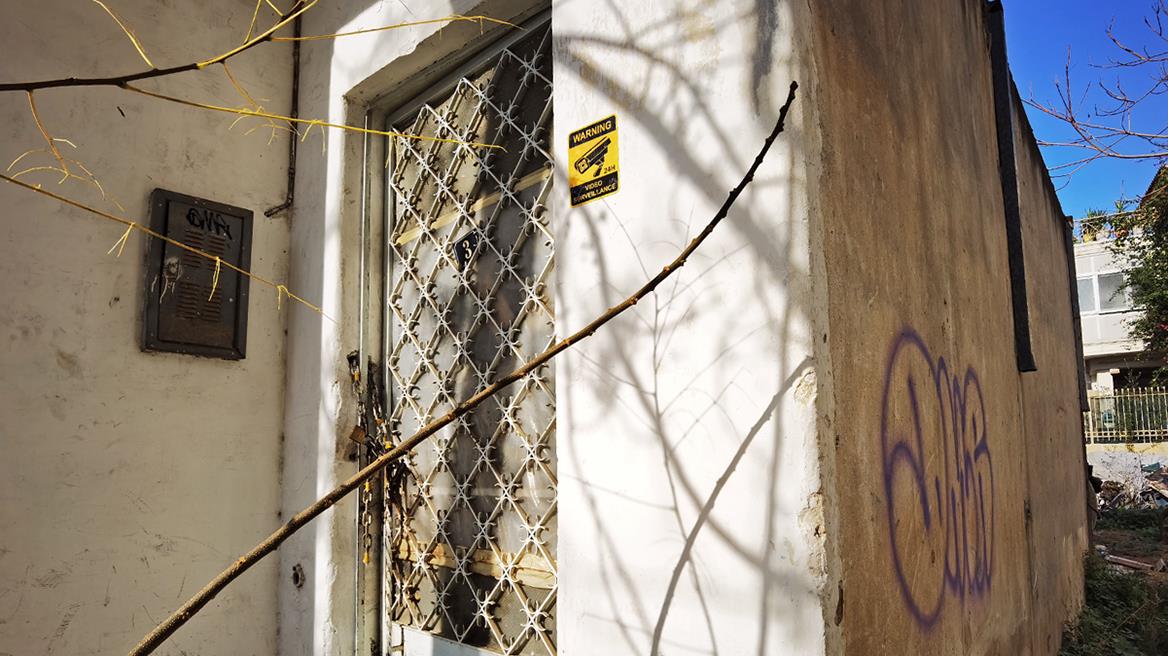 4413569097668442 image