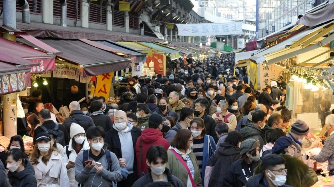 4415547664204649 image