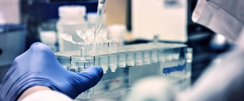 4419735405050501 image