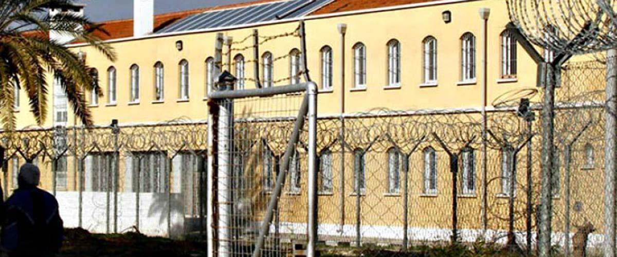 4425210373723546 image